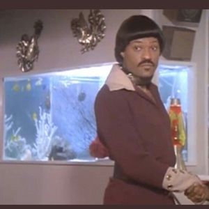 Meet your Posher, Donovan